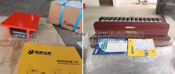 進(jìn)口重物移運器實物圖