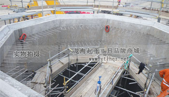 CODIPRO MEGA DSS+旋轉(zhuǎn)吊環(huán)使用案例圖一