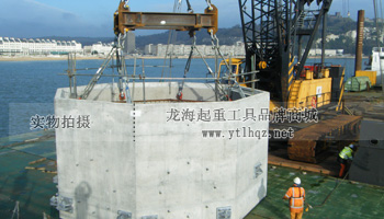 CODIPRO MEGA DSS+旋轉(zhuǎn)吊環(huán)使用案例圖二