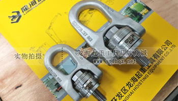 CODIPRO SS.DSR型不銹鋼旋轉(zhuǎn)吊環(huán)實(shí)物圖一